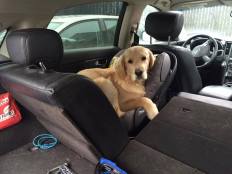 964c0ae43f0223686b1bae1980210374_232x174_fill