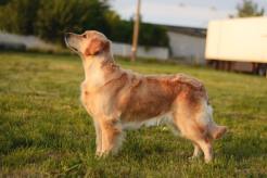 96609aa82b3c9b230cd6069c22805a38_246