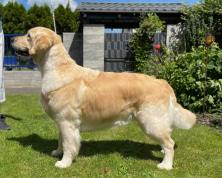 96bcae0acdc7ee2c8bf8a2b2d33b52cf_222