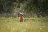 96ca1fce1eee829e51d19b233dcf78ad_195