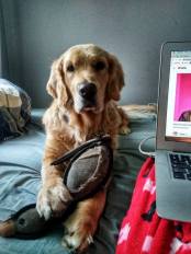 96df2f49c0933c997afe33ed574eeffd_174x232_fill