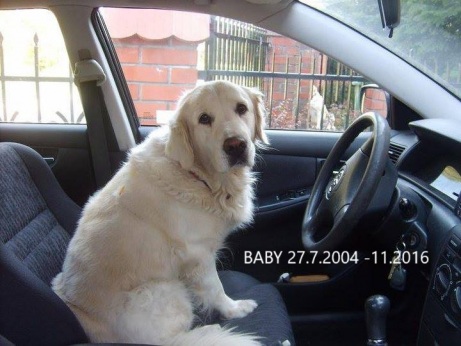 96e39adb478c66c8d0a41cb385740329_461