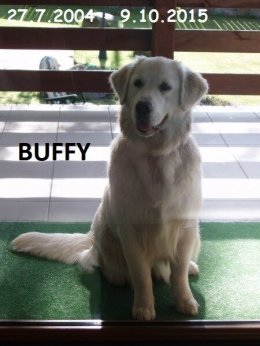 96f3f66f0400a228cb26bfa96ff76114_260x346