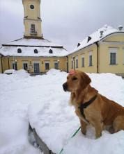 9716492d840a179ed19d954078e23488_178x222