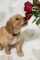 971e9b83a52ce762b723f8f51bdf6671_130x195_fill