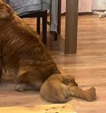 973d25aa1a4ecd976e146dfd5dcbc0db_154x164