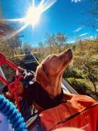 9786a34d29c26221ca893a6302a86fc5_138x184_fill