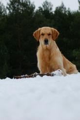 97948afe24e8aa052cd53ddf4bfc86ef_164x246