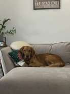 97bd1ecab547065c79b0ae1fcddd29da_138x184_fill