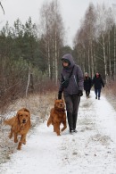 97e96014bdbed056601e79f17f1b8c50_130x195