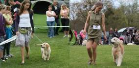 97ebc9c2c7c79543d386b29c8b008912_284