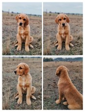 98065f9477081c02bf8658c420d7fc67_174x229