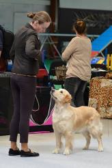 98099e5c7bb3906bd5989a8963837ac8_164x246