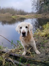 9861074c598fa762e760985ec0c6ec9d_174x232_fill