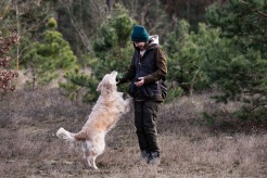 9880f3e1356e76a286a4ea87ba6956c6_246