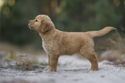 9891cc424e71af20dd8c27e806b19a64_246