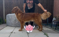 98958c45e525407a9272654f54db7c1f_251