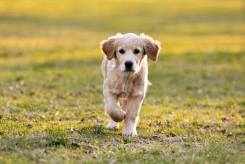 98cdb1d7b7ae9780f3e4c9049df7a0e2_245