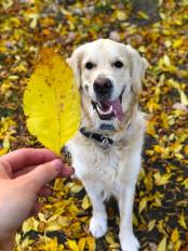 99037e9510d67d0ca4abbba4cb08e9f6_174x232_fill