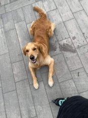 991fe22a10be43e5bb3aa8e84054fac1_174x232_fill