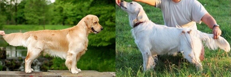 9947257fe633209a56440e74e5afd62b_fit