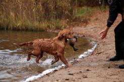 994a64cf1fd8ff93ad34807082287d49_246x164_fill