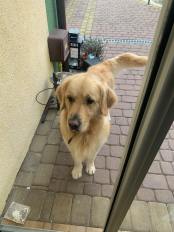 994ffe46474180da6e27c270b8b0de05_174x232_fill