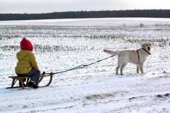 997203486b4c5bdffe0752efb31b5c3e_246x164_fill