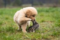 997534f9bfd47b1a939447d2e36721ad_195