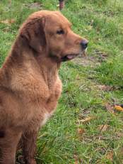 9980de9a00617e5df91424521a76da2b_174x231