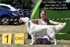 998431333673f9c5d0eff8beb8ff68f2_246x164_fill