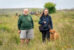 9997efe520027485325e4c11d913bf38_245