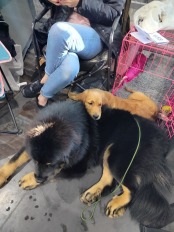 999b6c52cf558a22d0d793af0b5e44a2_174x232_fill