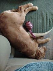 99ab2b8e0f77bf4eeb61eebaa08fe2b3_174x232_fill