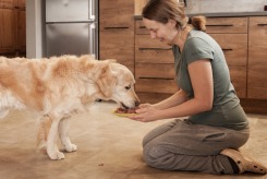 9a484d261b04b64853aafbcb5191ad2e_245