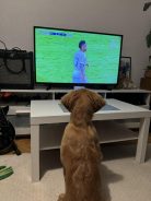 9a84dd948ce3acb50b8be354c088b129_138x184_fill