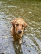 9b1457e315017e9b57e49f652bd6ae21_138x184_fill