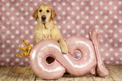 9b69934301e4c71ee130fcfc87c5c651_246x164_fill