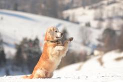 9b6a0ab6395df0c6bd1d2f5e0f5d9e60_245