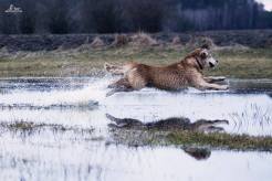 9ba7194d00d6ff2d276a4c832dafdcab_246