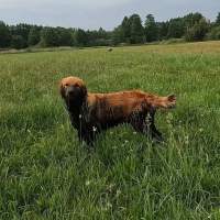 9bc3f224930400112243c323a392c5b5_200x200_fill