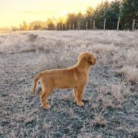 9bc8e195683c9b380b1ac5b5bb96857a_200x200_fill