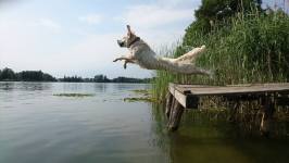 9befe464bd2bcbc150c921ac6e07bbd7_266