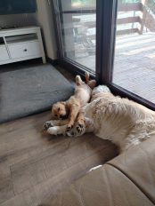 9bf6721aee82b2fe3a9b4dfef36b8820_174x232_fill