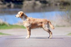 9c0e5efacf5fbabd0e071f2817094ca4_246x164_fill