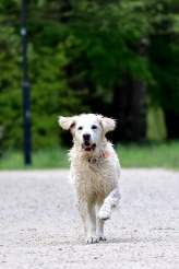 9cc173cb1c6ae80e2bea9f923d096727_164x246