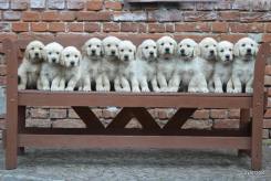 9d0be4c81c8901c06d09bb6e8c5dfb33_245