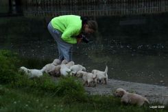 9d4d89b048670bb9df9707b8d9c5b110_245