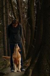 9d6c0de55357fa5ae3d4b4e8b0977b4d_164x246