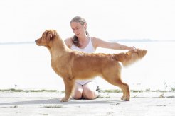 9d8df5ba6b5aaee068f9a3e1ceb90a88_246